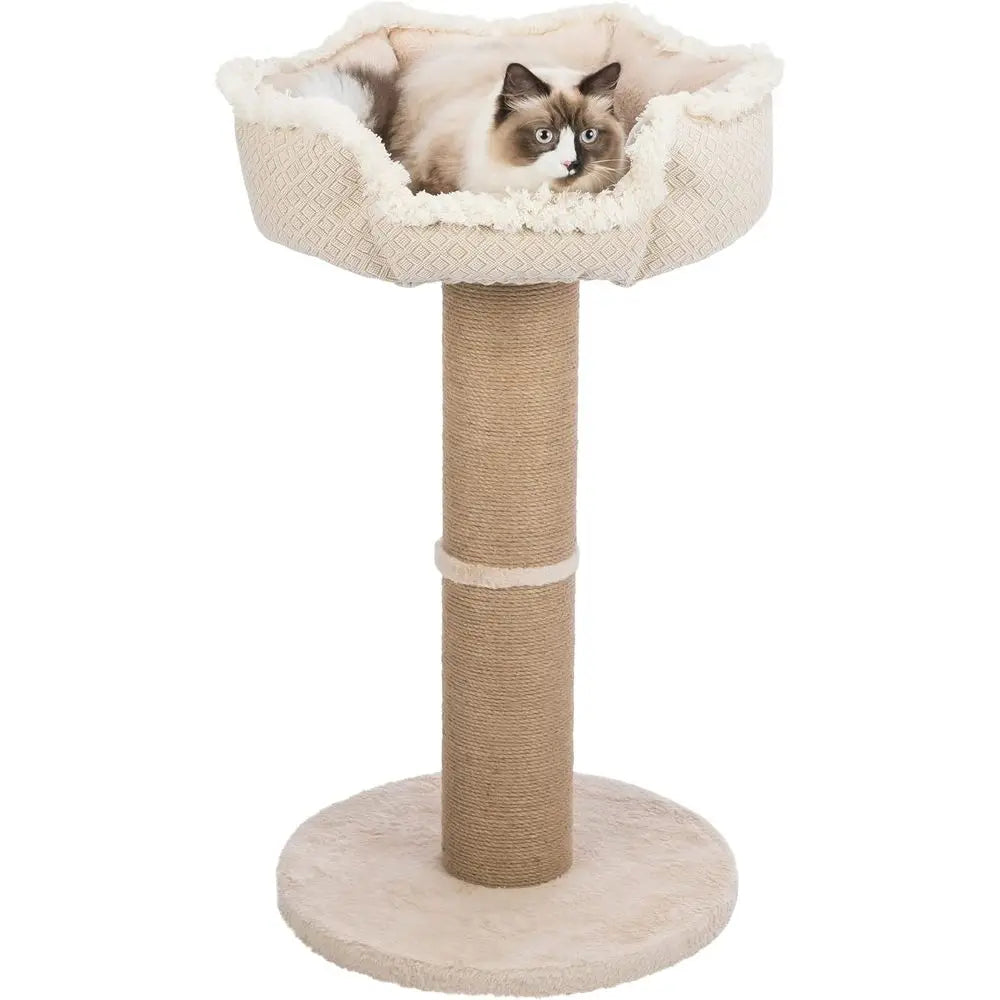 Cat Scratching Post