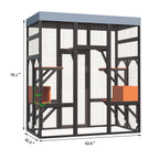 Large Cat Enclosure
