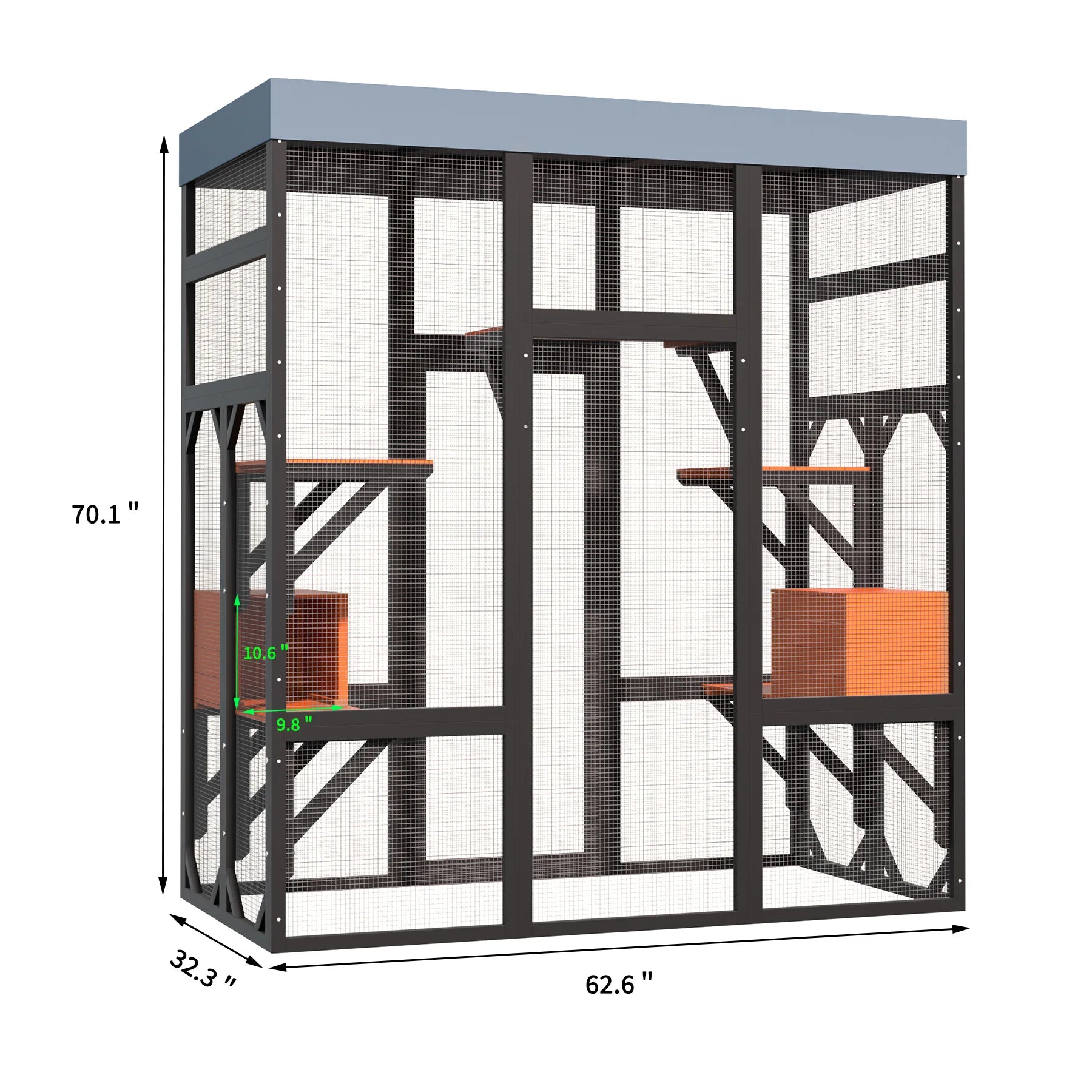 Large Cat Enclosure