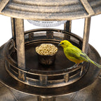 bird bath feeder
