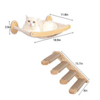 Cat Hammock and Stairway