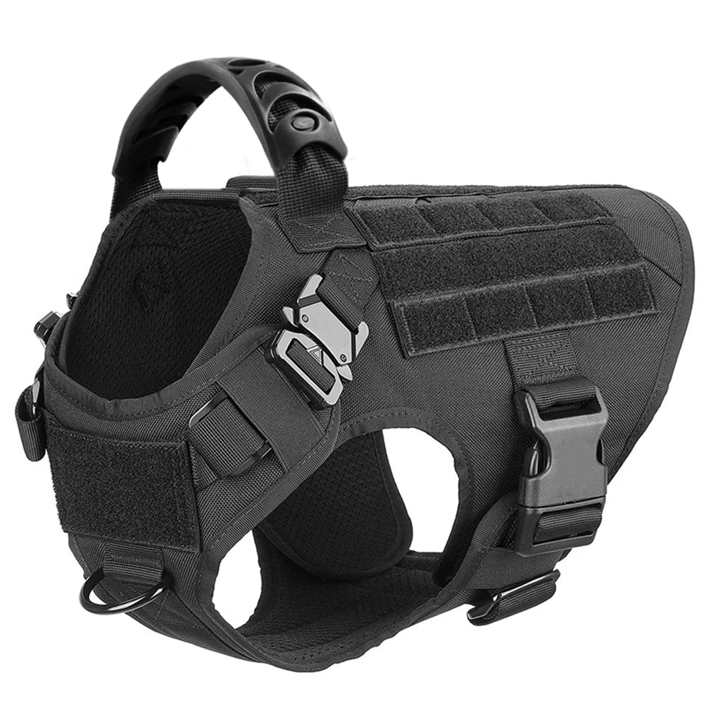 Large Dog Harness/Leash Set