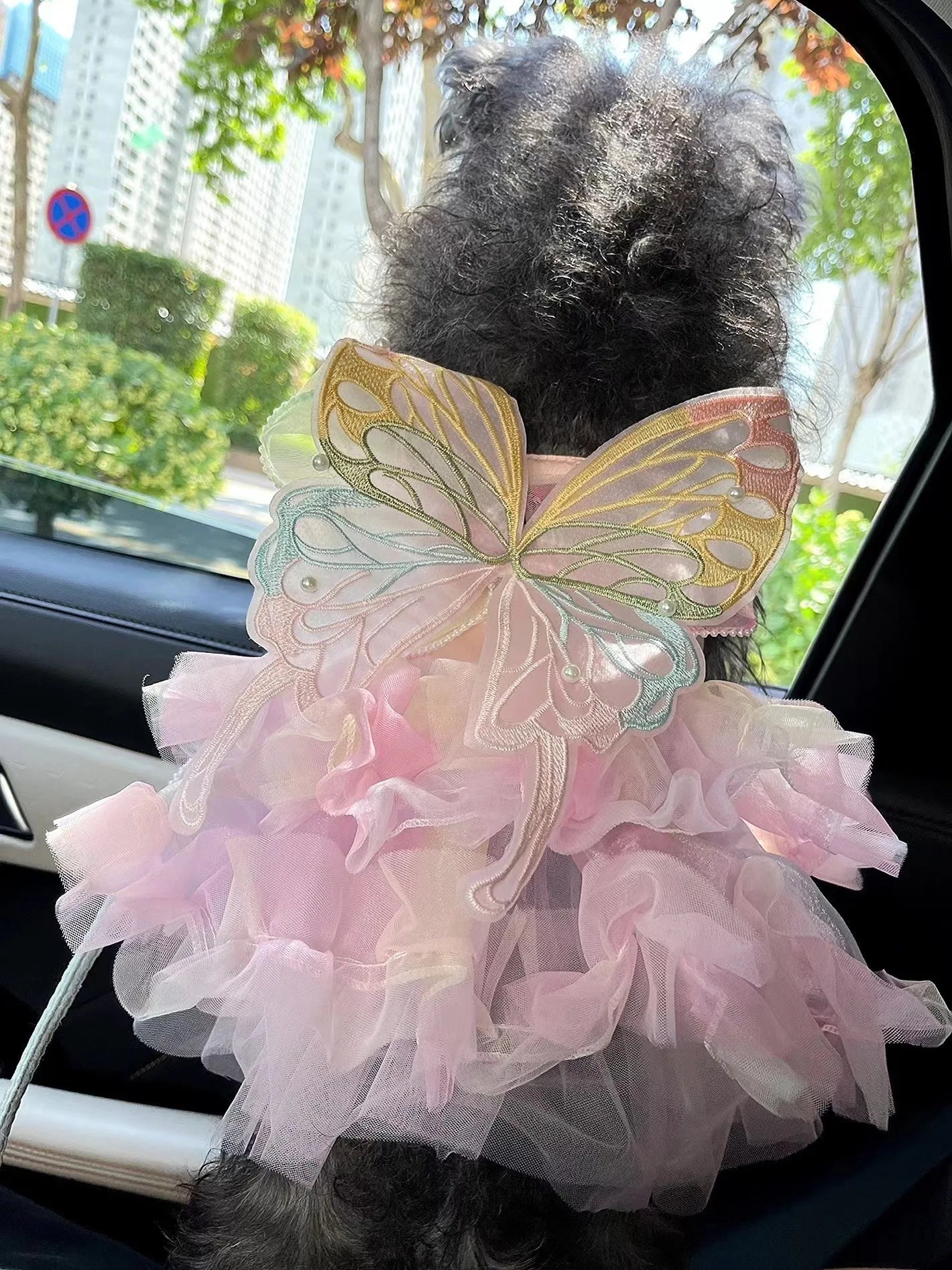 Dog/Cat spring princess Dress
