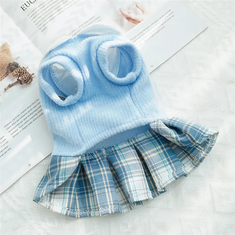 College Style Dog Dress