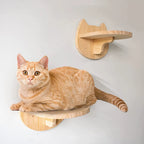 Step Stairway Scratching Post