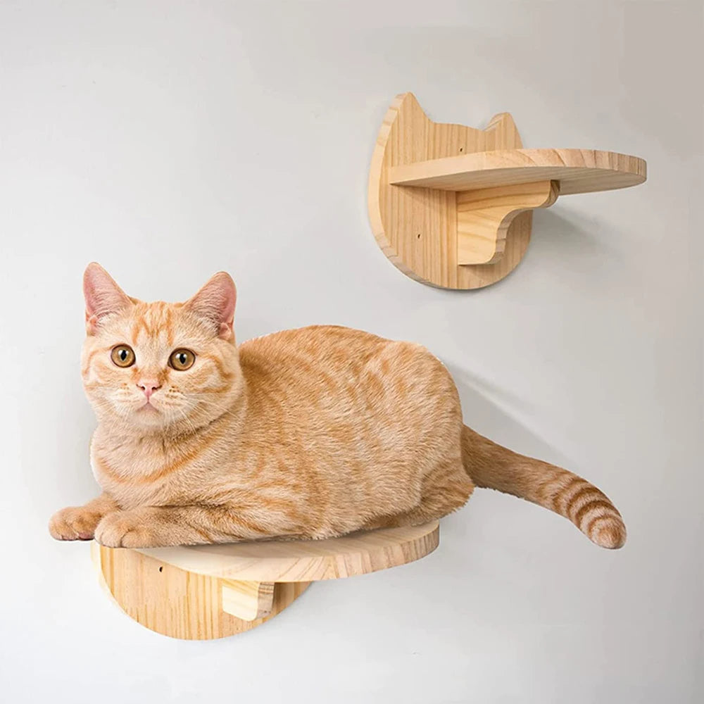 Step Stairway Scratching Post