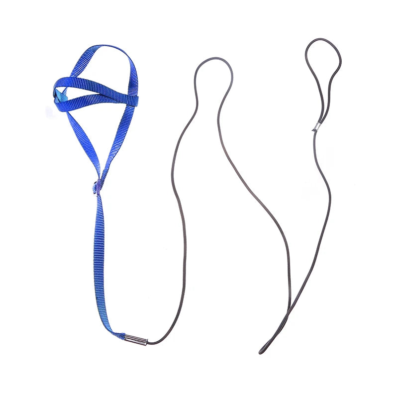 Bird Harness/Leash Activities