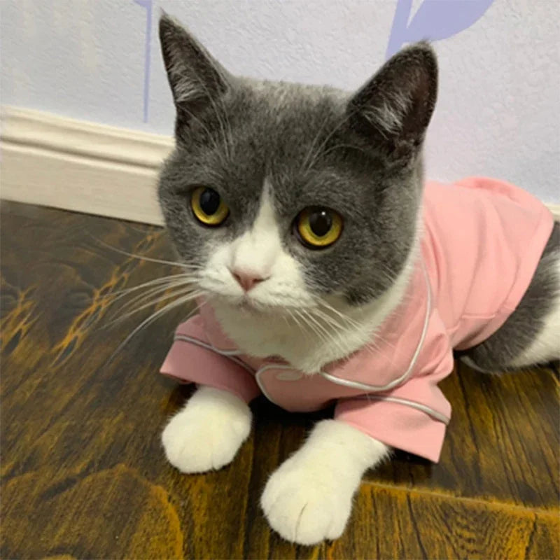 Cat Costume Sphynx Sweatshirt Suit