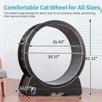 Large Cat Exercise Wheel