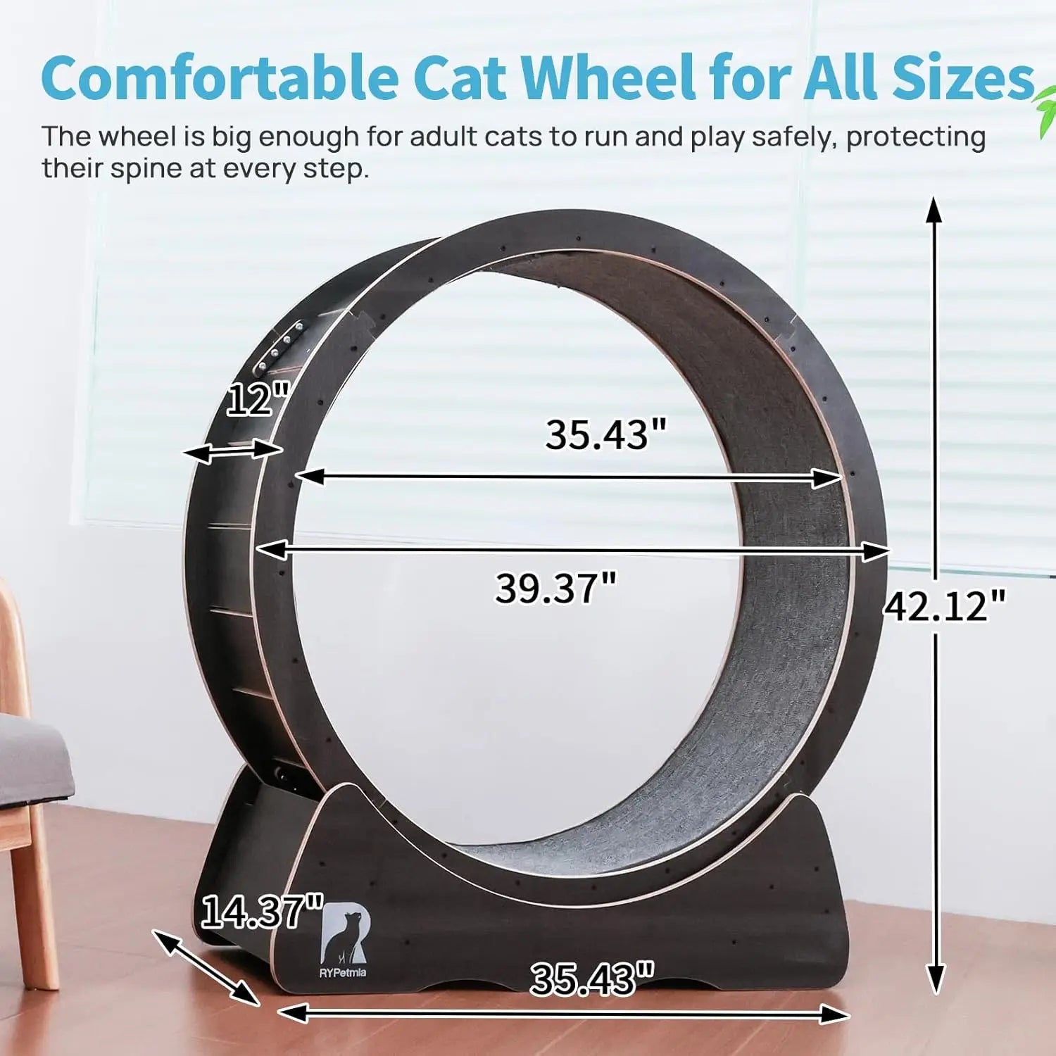 Large Cat Exercise Wheel