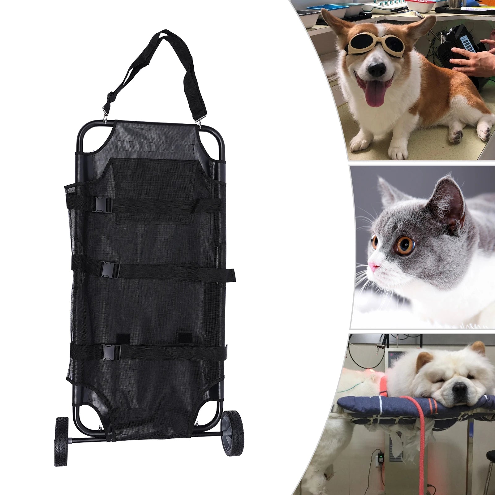 Pet Stretcher Veterinary Transport