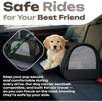 Small Pet Carrier – Airline Approved