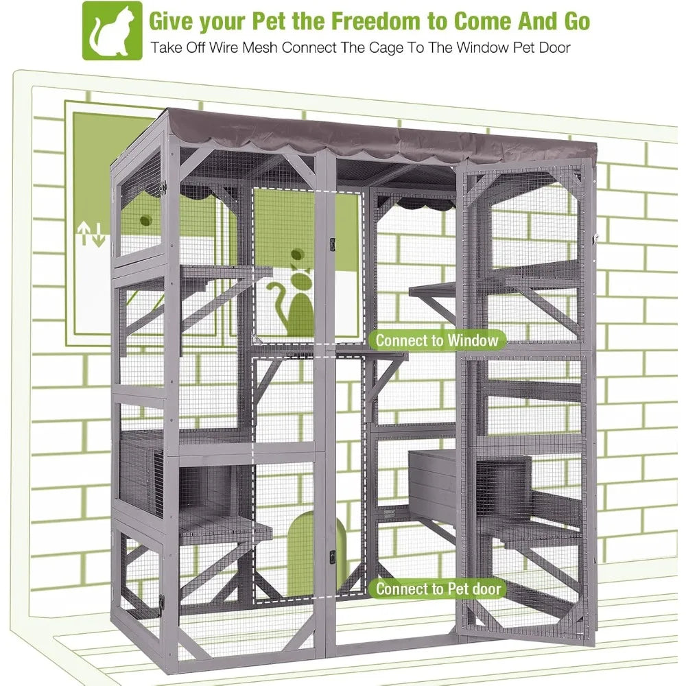 Cat Enclosure