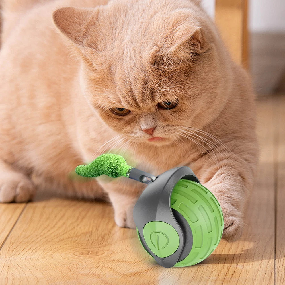 Cat Interactive Ball Toys