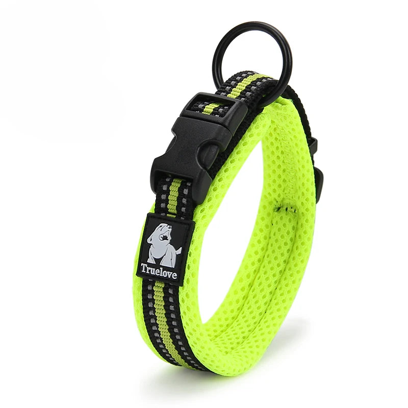 Dog Walking Collar with Buckle