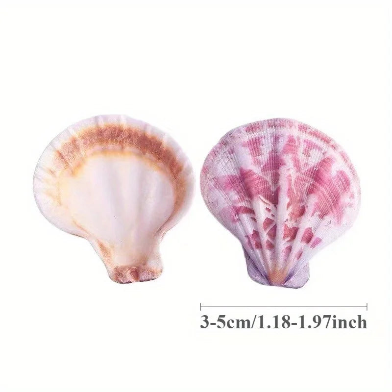 20pcs Pink and White Series Sea-Shells