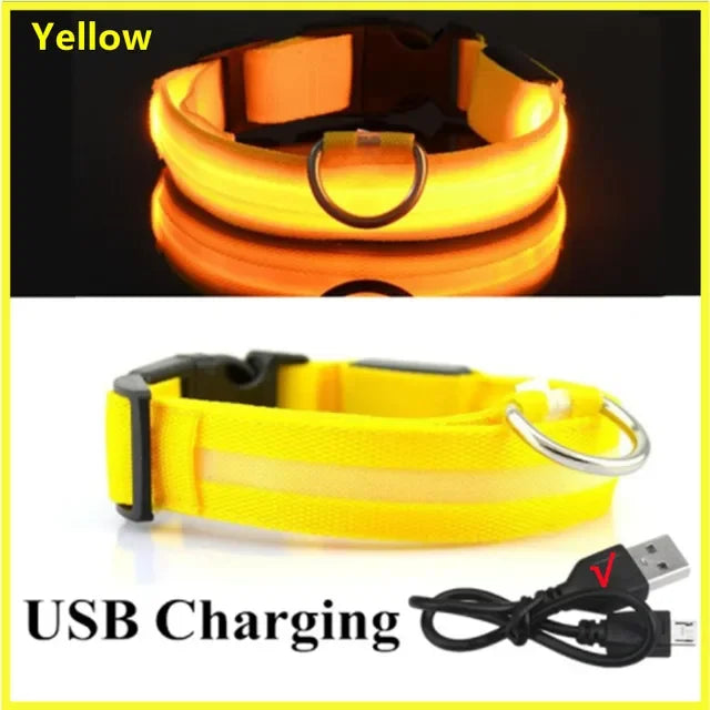 USB Charging LED Dog Collar