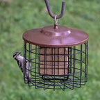 Squirrel-Proof Bird Feeder