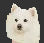 Pet Grooming Vacuum