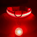 Usb Charging Glowing Dog Collar
