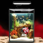 Glass Aquarium Starter Kits 1.5 Gal