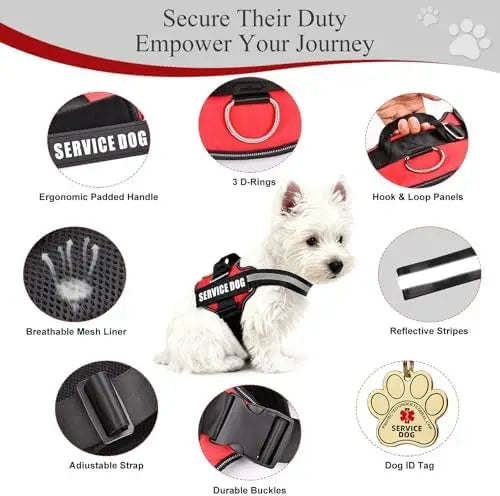 Service Dog Vest & ID Cards