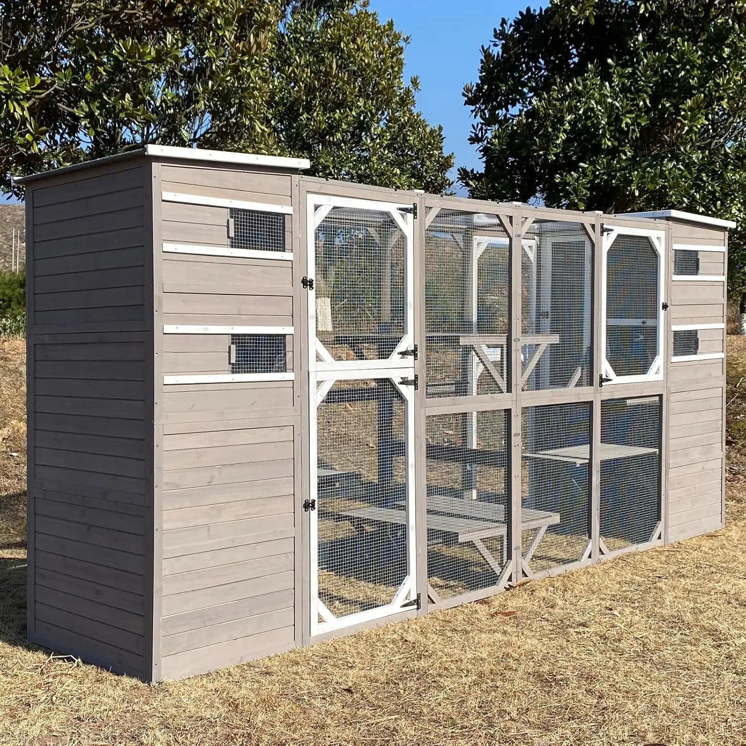 Large Cat Enclosure