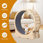 Exercise Wheel for Indoor Cats