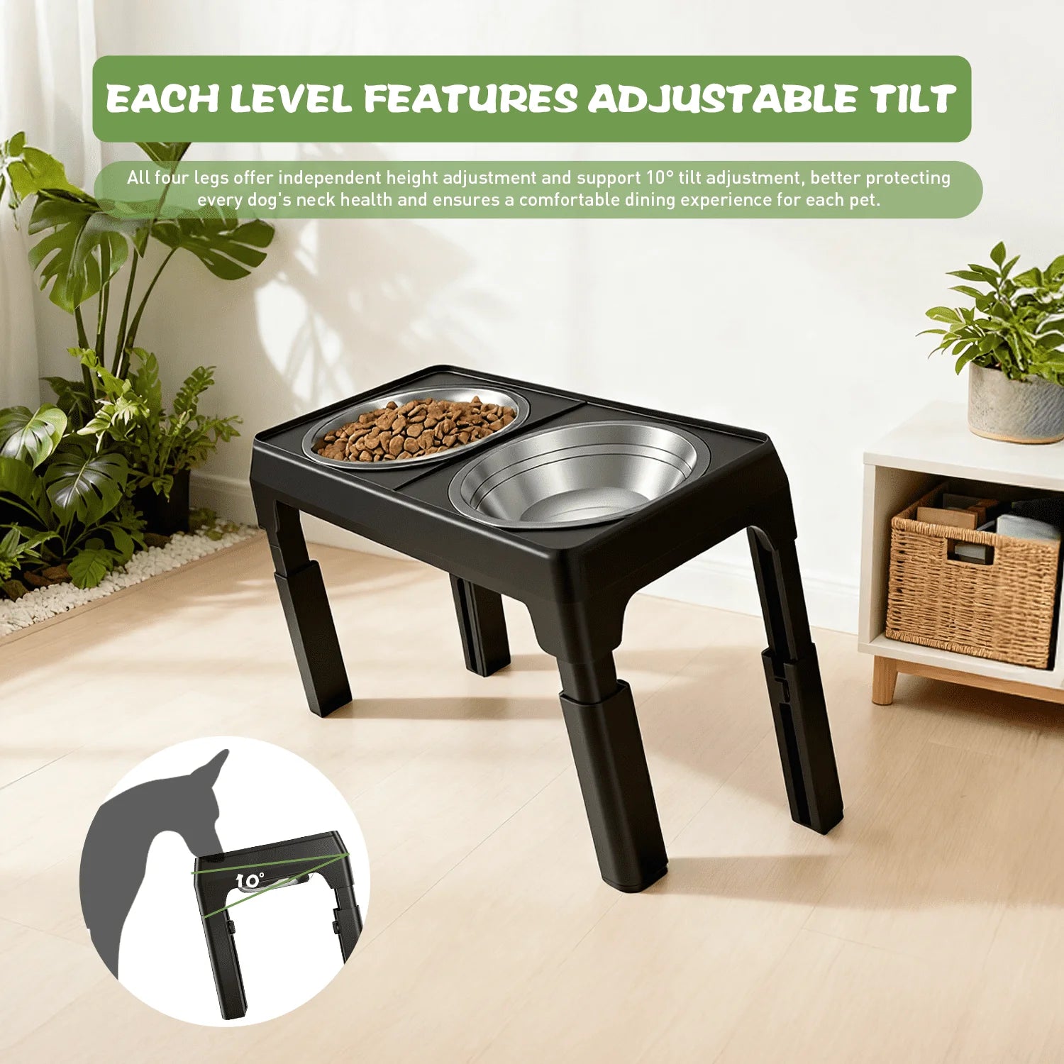 Elevated Dog Bowls