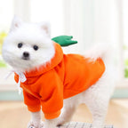 Cute Fruit Dog Clothes