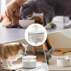Pet Drinking Fountain