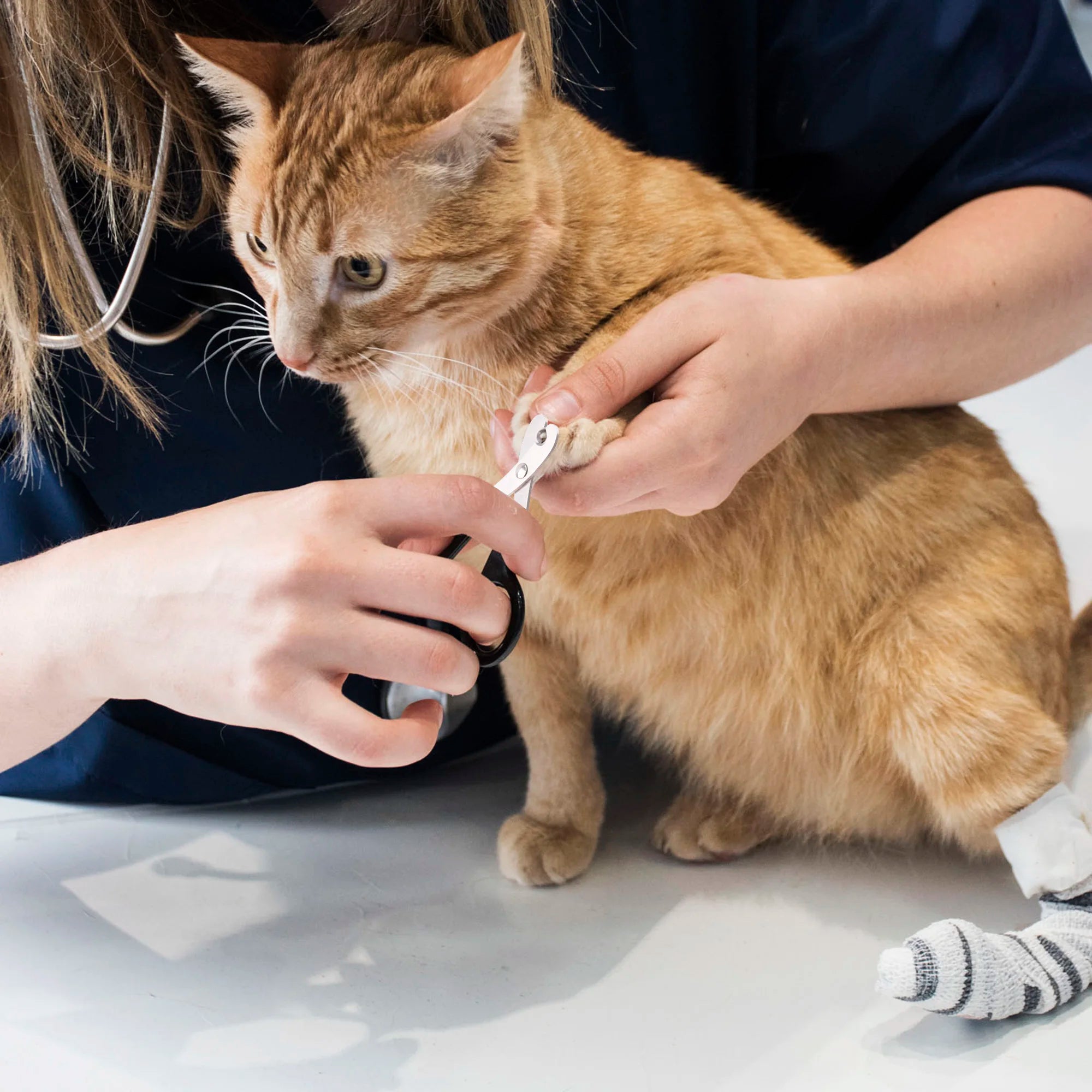 Professional Pet Nail Clippers
