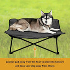 Elevated Dog/Cat Bed