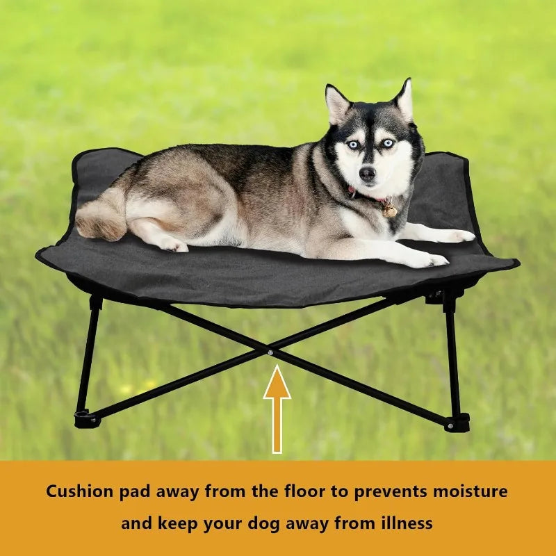 Elevated Dog/Cat Bed