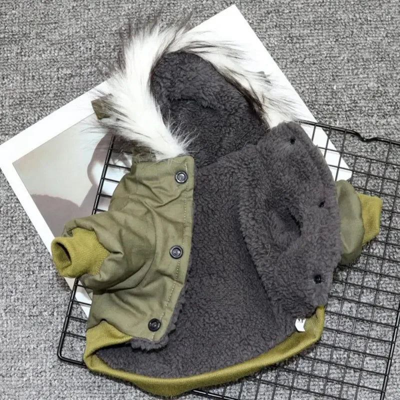 Winter Dog Clothes