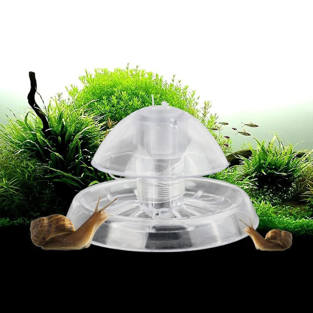 Grass Tank Snail Removal Trapping