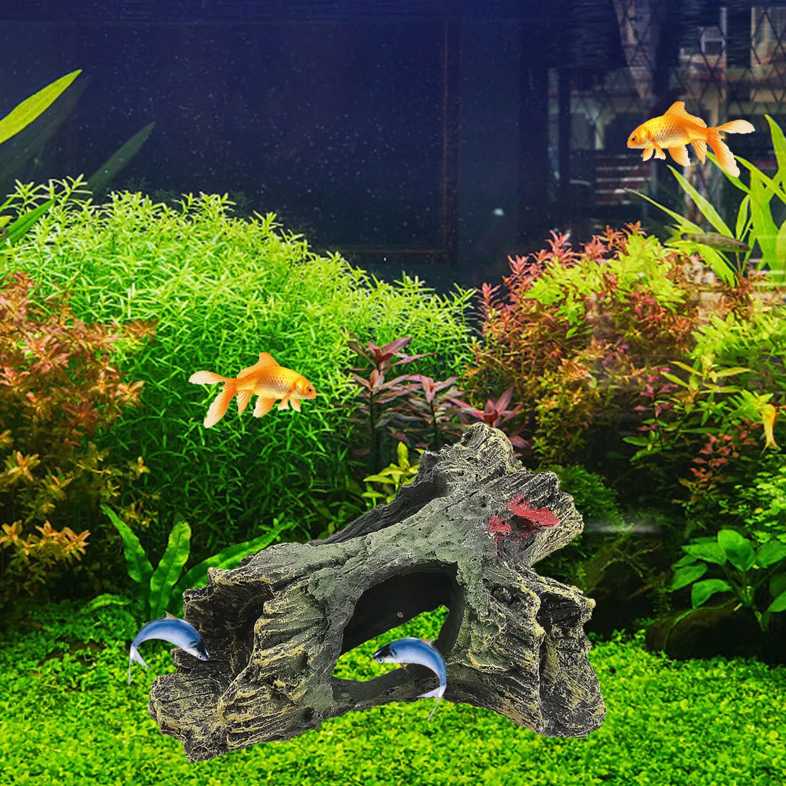 Fish Tank Escape Hole