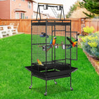 Standing Play Top Bird Cage 68"