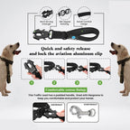 Short Dog Leash Traffic