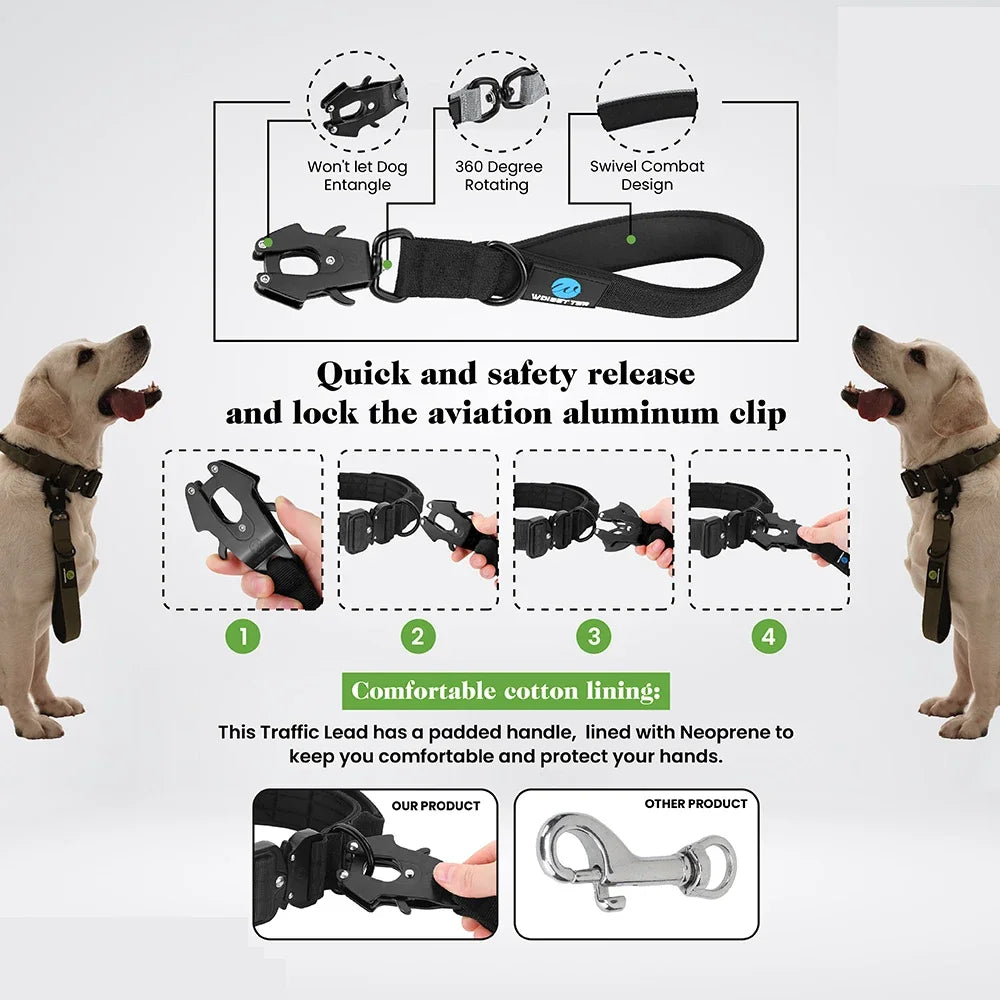 Short Dog Leash Traffic