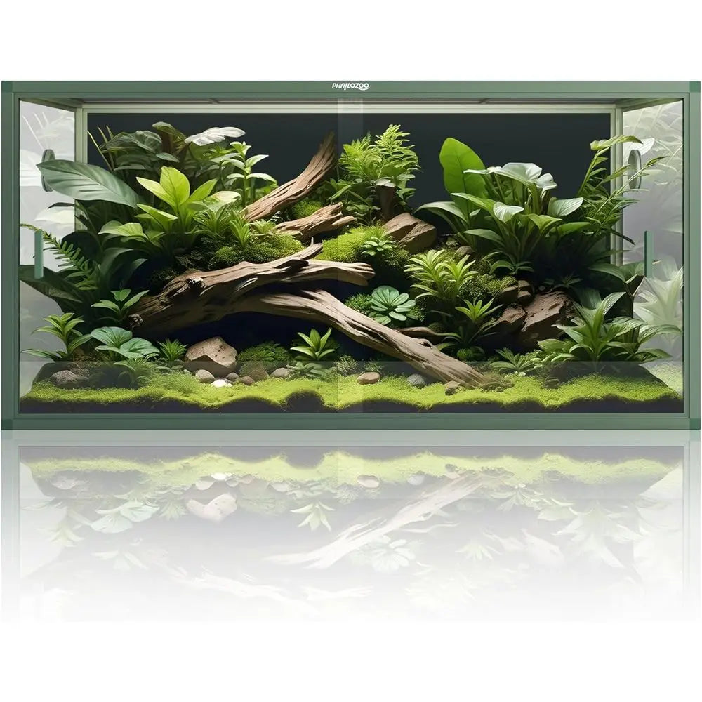 Bearded Dragon Enclosure
