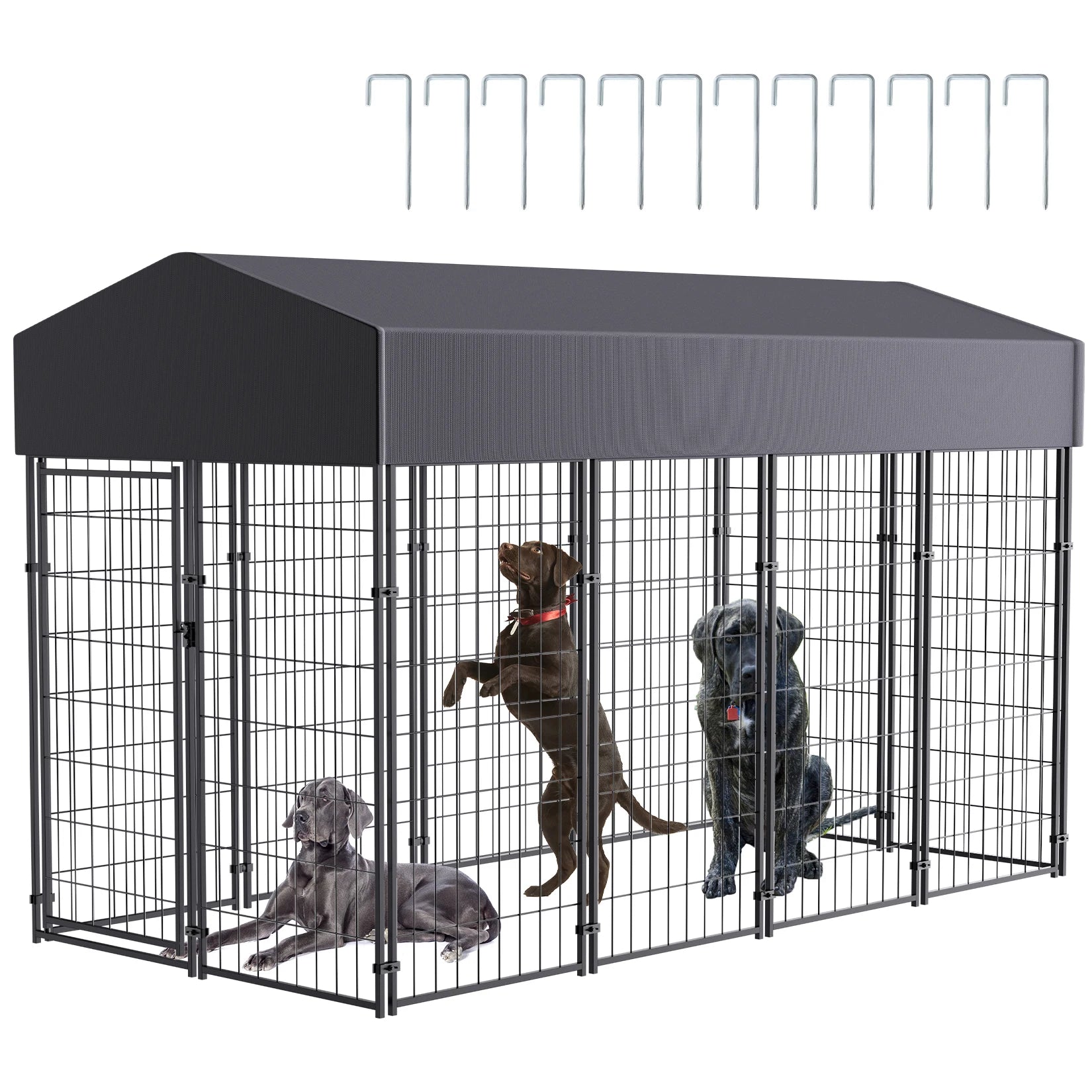 Large Dog Kennel