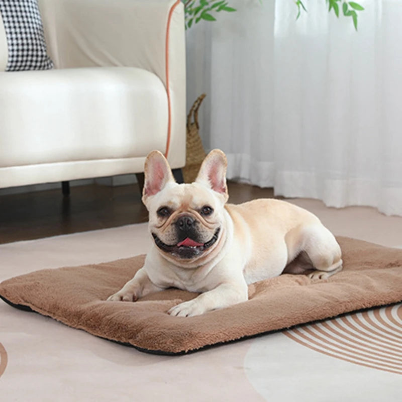Dog/Cat Bed Heated