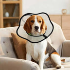 Pet Recovery Dog Cones