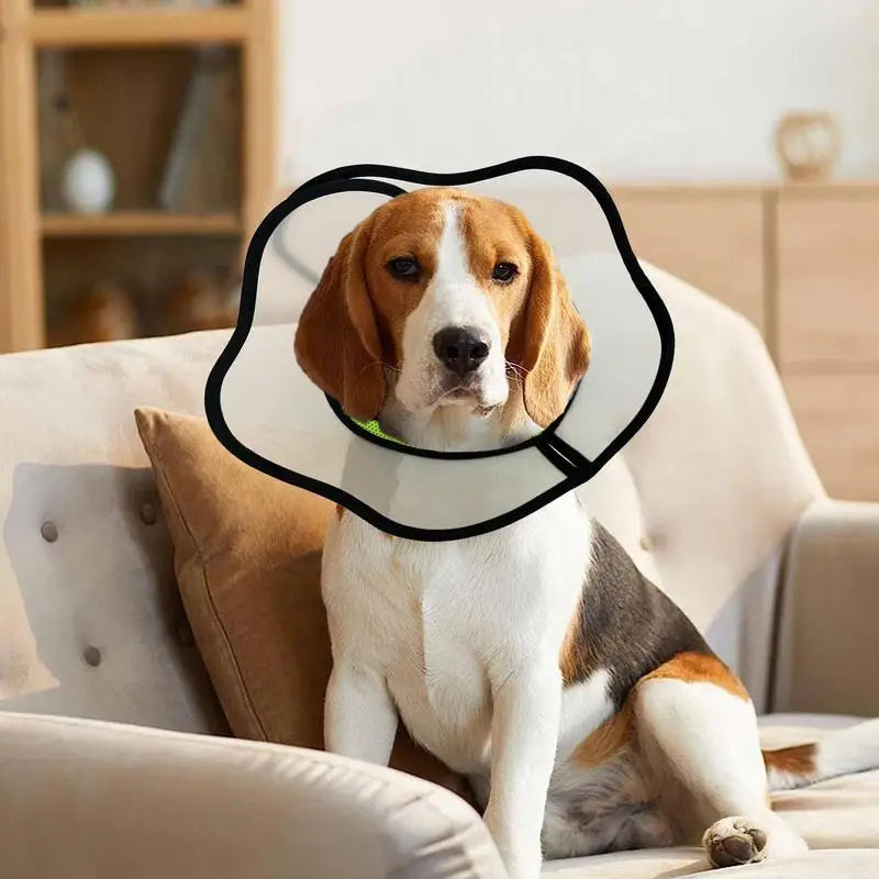 Pet Recovery Dog Cones