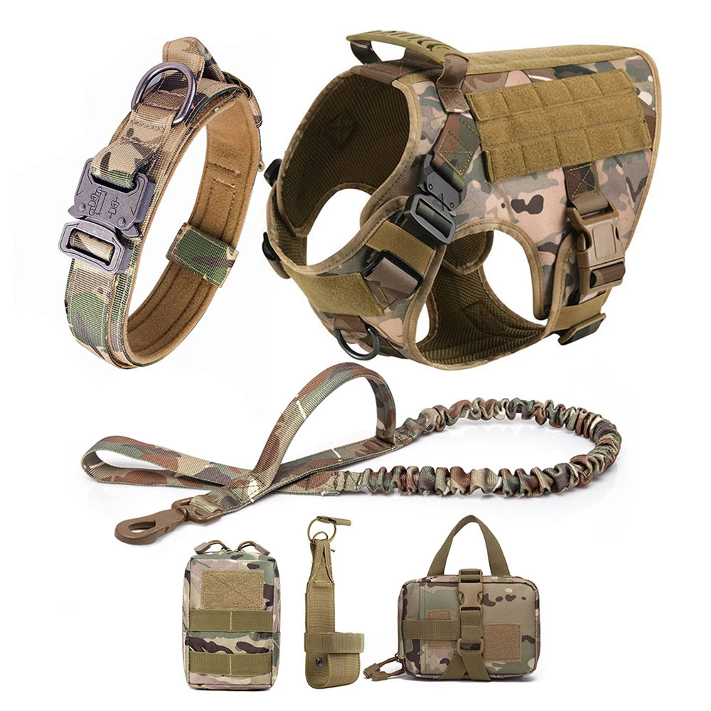 Large Dog Harness/Leash Set
