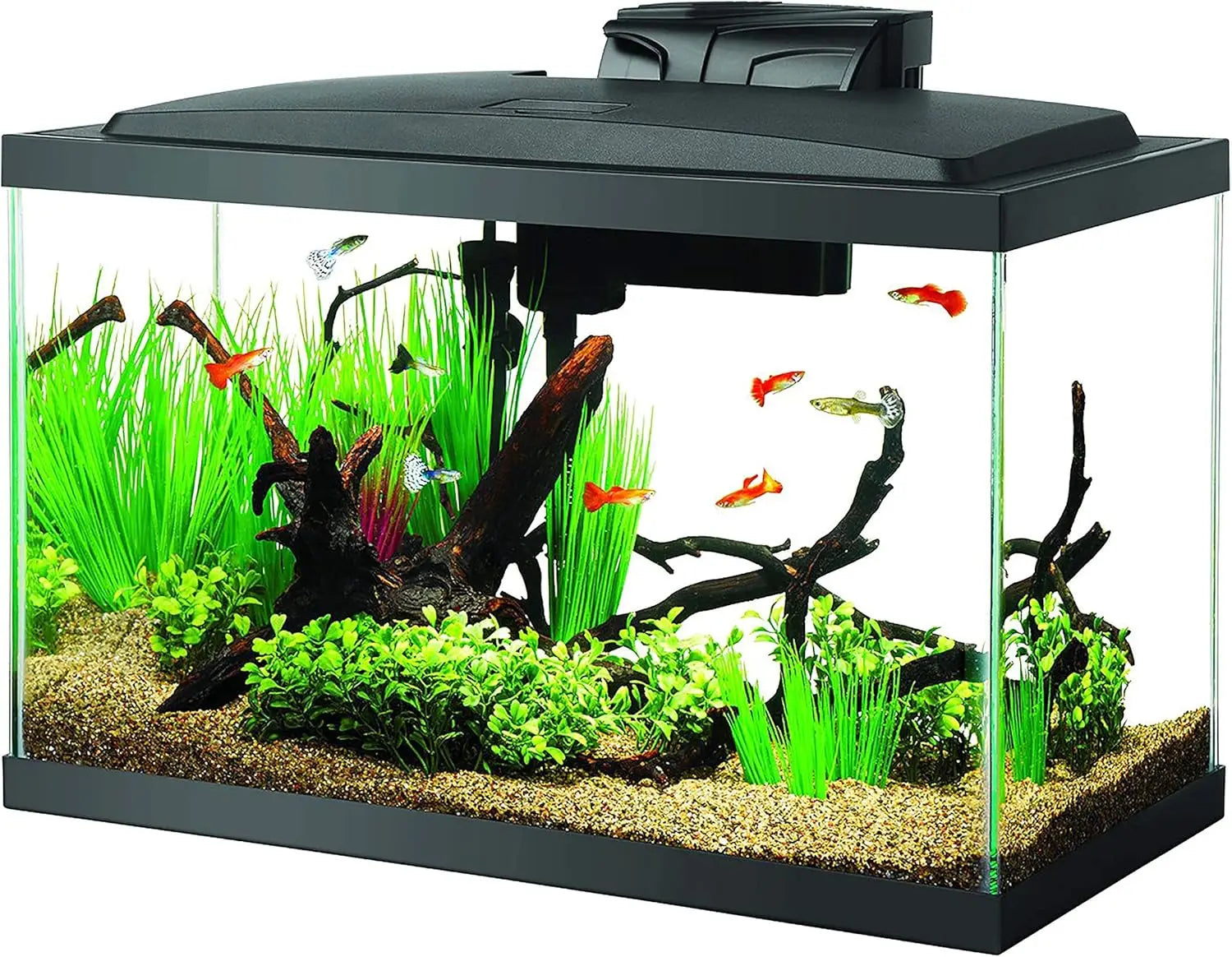 Complete 10 Gallon Aquarium Starter Kit