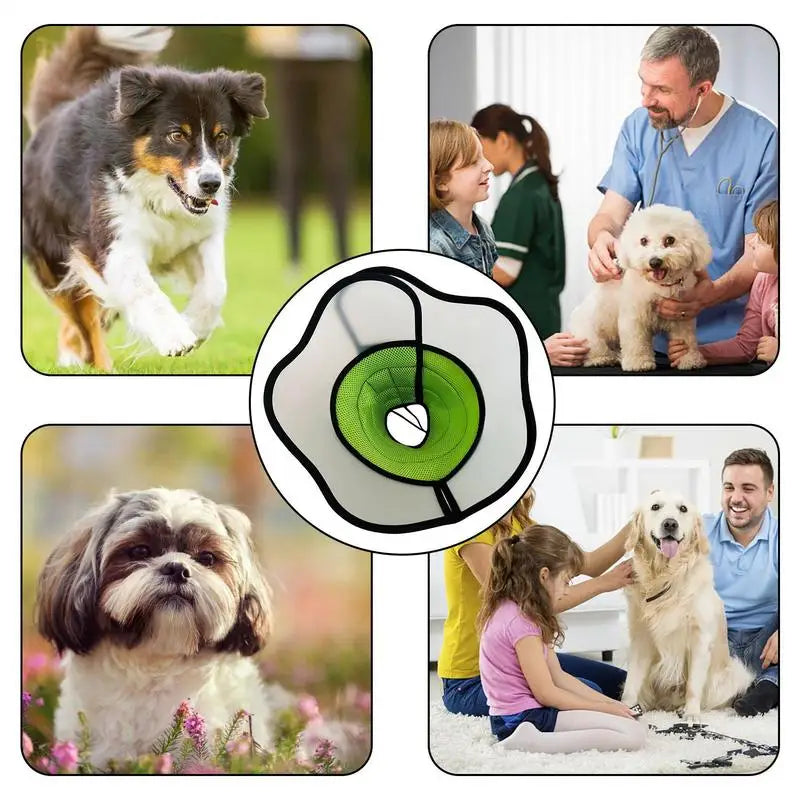 Pet Recovery Dog Cones