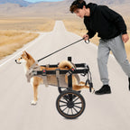 Adjustable Trolley Dog Wheelchair