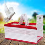 3-Door Pigeon Cage with Handle